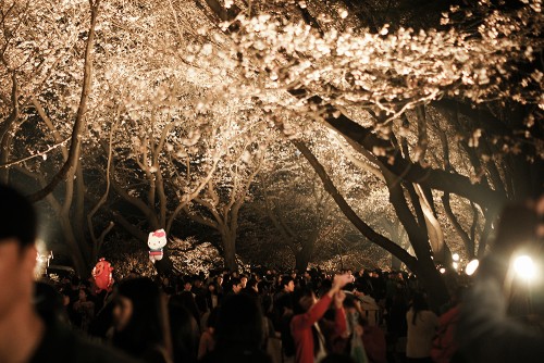 전주 한옥마을 출사 정보입니다.