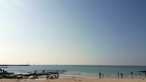 《본격 사용기 활성화 PJT》adios, 제주(2)