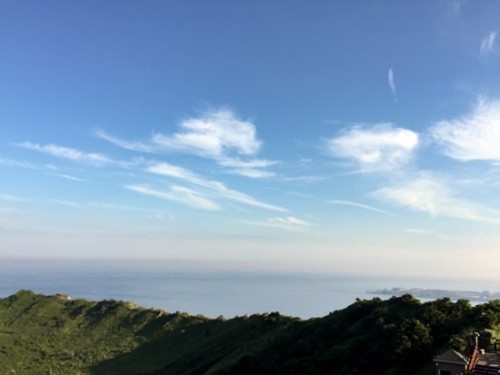 《본격 사용기 활성화 PJT》adios, 제주(P)