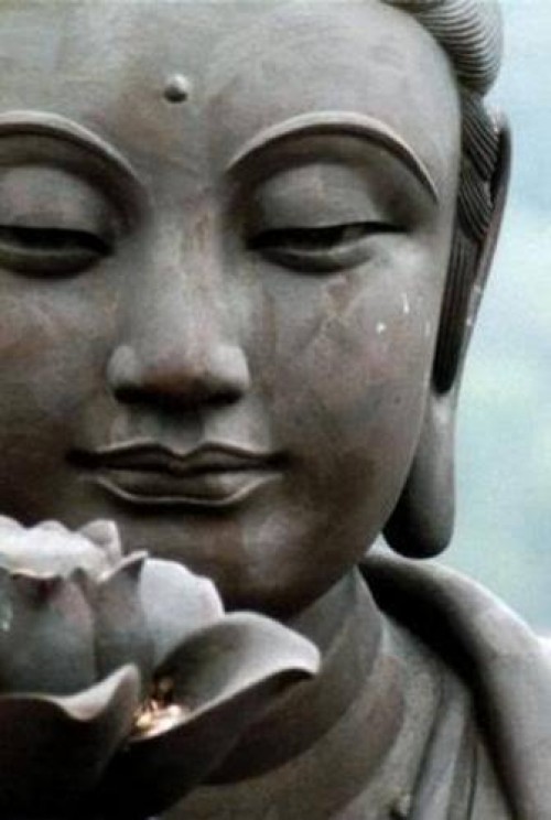 《본격 사용기 활성화 PJT》adios, 제주(1)