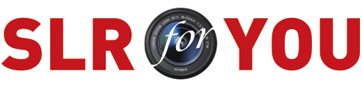 slr4u.com - 에스엘알포유 LOGO